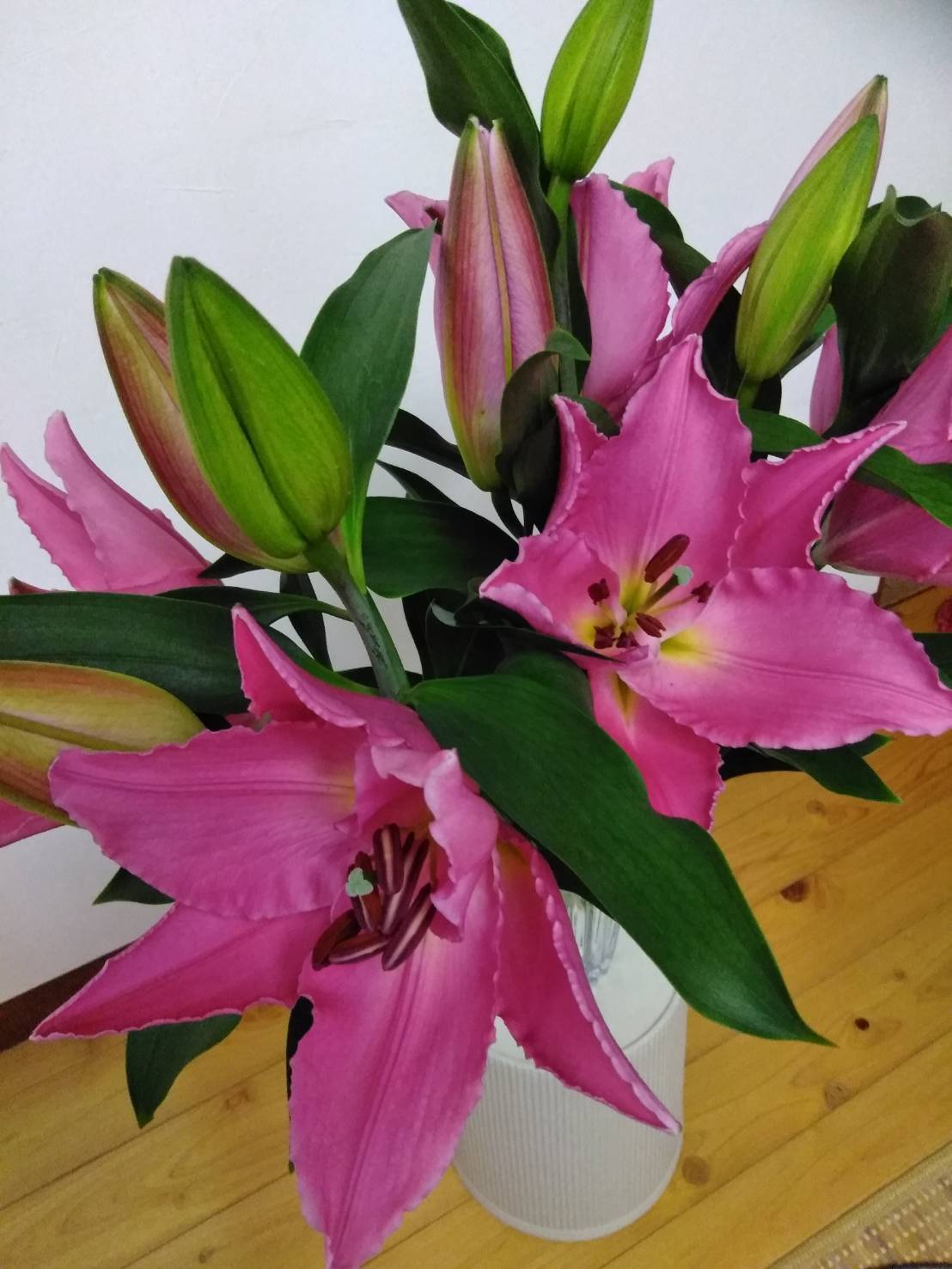 鮮やかな発色をするピンクのユリ 農家漁師から産地直送の通販 ポケットマルシェ