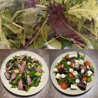 みんなの投稿の画像