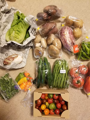 みんなの投稿の画像