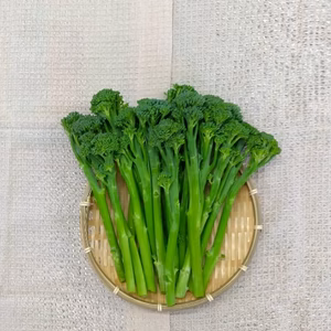 ＪＡＳ認証・有機栽培の「スティックセニョール」500ｇ