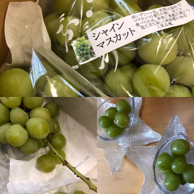 みんなの投稿の画像