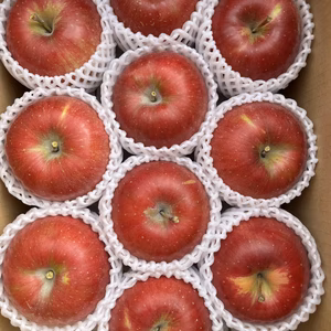 シャキシャキッ！完熟サンふじ 3kg箱～ 信州りんご