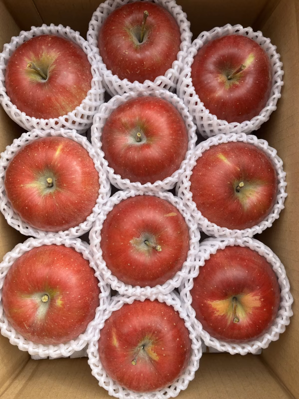 シャキシャキッ！完熟サンふじ 3kg箱～ 信州りんご 