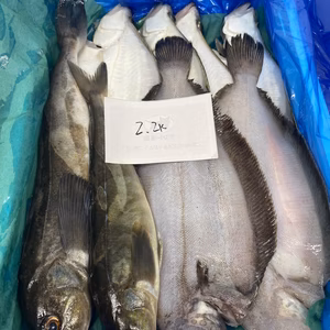 6日水揚げ❗️イチマンの宗八、ナメタカレイ、ホッケセット　