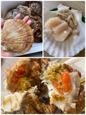 みんなの投稿の画像