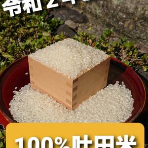 令和2年産　100%吐田米（はんだまい）4.5㎏