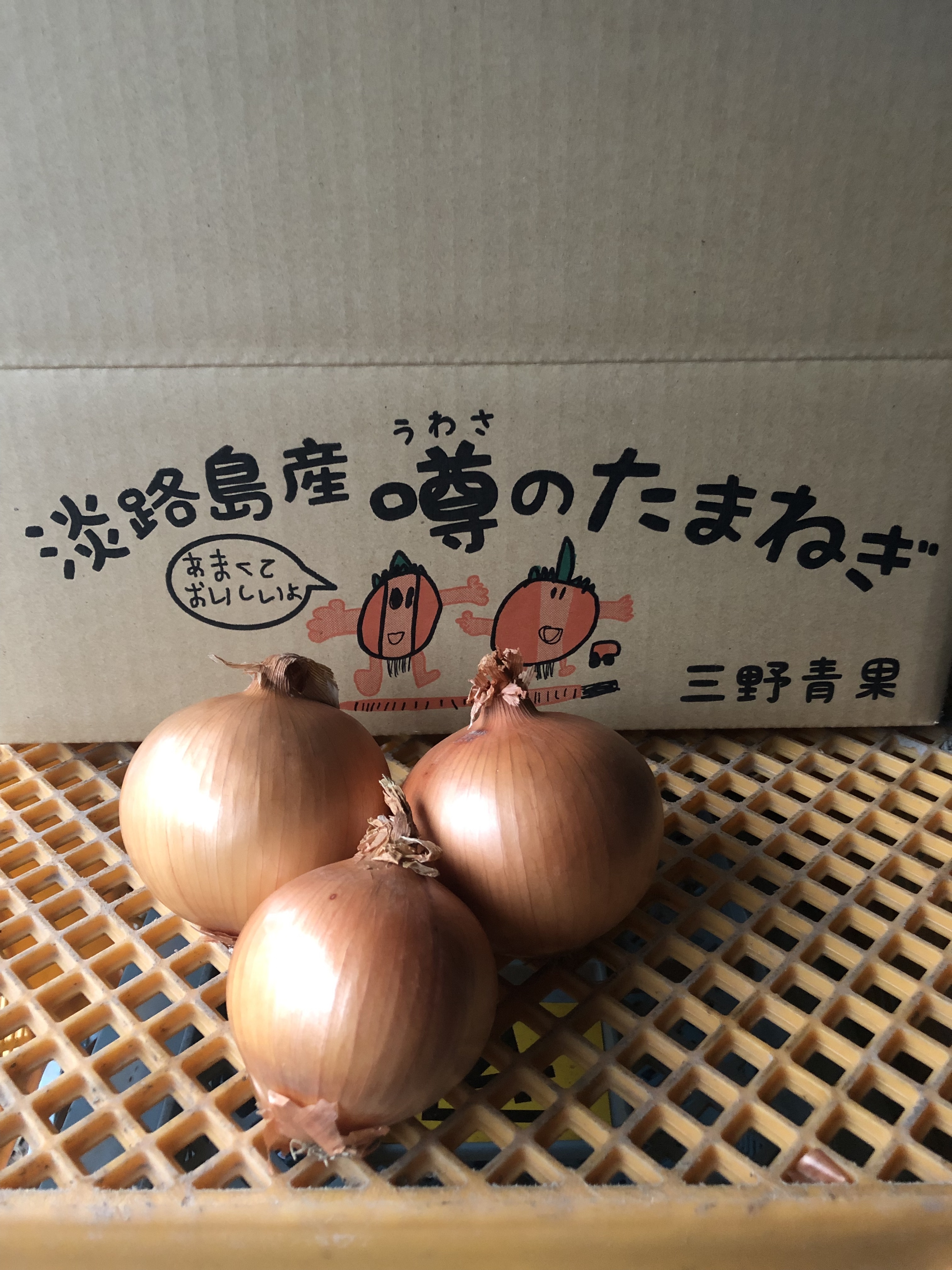 淡路島産ソルティ玉ねぎ20キロ｜野菜の商品詳細｜ポケットマルシェ｜産直(産地直送)通販　旬の果物・野菜・魚介をお取り寄せ