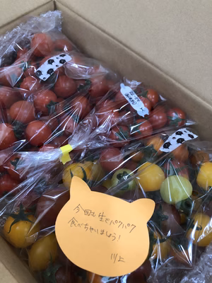 みんなの投稿の画像