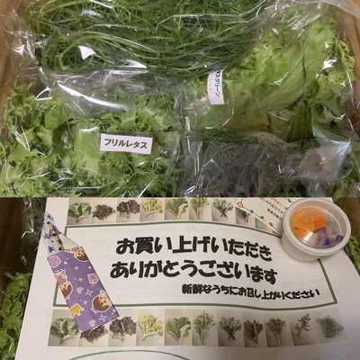 みんなの投稿の画像