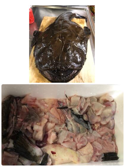 カナガシラと何が入ってるかお楽しみ魚箱 農家漁師から産地直送の通販 ポケットマルシェ