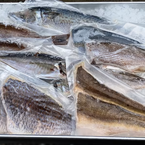 漁師のおまかせ鮮魚セット2kg 