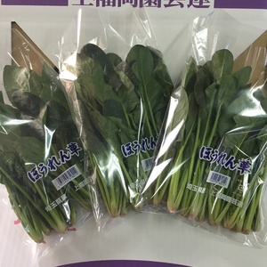 冬のほうれん草は甘くて美味しい‼️