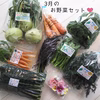 3月のお野菜セット　淡路島よりAwajicHorrorGarden