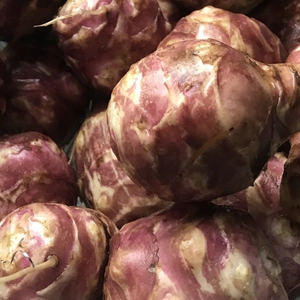 【４月中旬発送！】トピナンブール（カナダ産赤菊芋）3kg・5kg