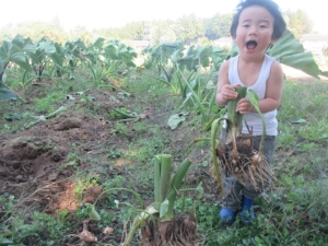 14671138_1093817657392680_3756728571935880542_n