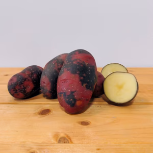 しっとりあま～い赤いじゃがいも『グラウンドペチカ』