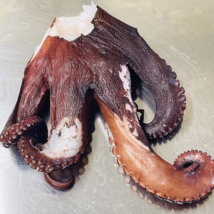 【訳あり】 蒸し真ダコ　700g