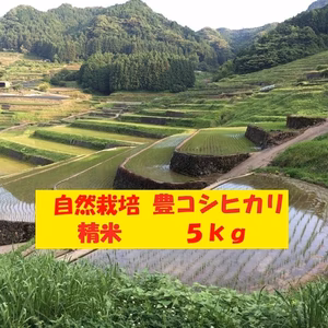 【４月セール】自然栽培「豊コシヒカリ」精米　５ｋｇ