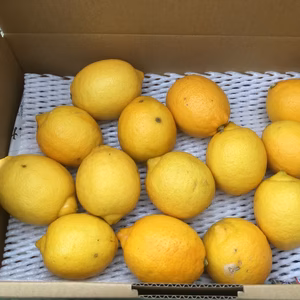 【産直】☆秀品☆国産レモン2キロ 減農薬