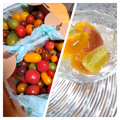 みんなの投稿の画像