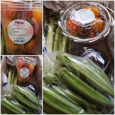 みんなの投稿の画像