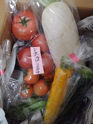 みんなの投稿の画像