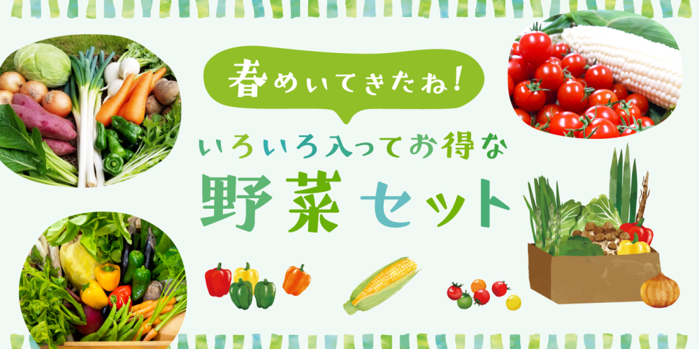 旬をお届け🚚いろいろ入ってお得な野菜セット🥕🥦🍅で春を感じませんか