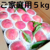 YKW【早生種】ご家庭用桃【硬くて甘い桃】