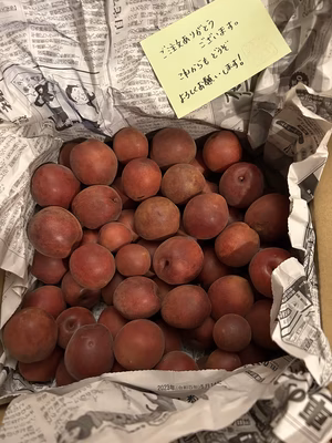 みんなの投稿の画像