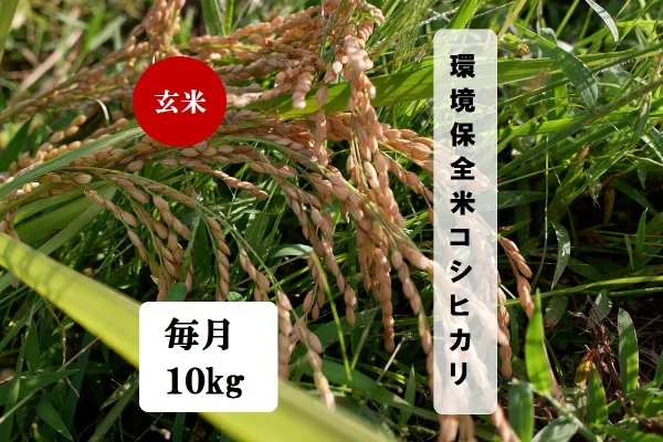 【毎月届く環境保全米☺】　玄米10kg