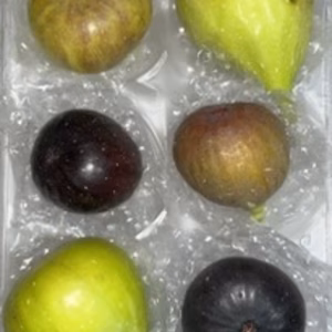 　本日の朝市❗️ 世界のイチジク食べ比べセット