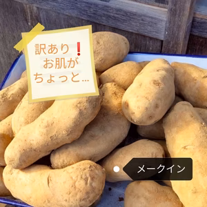 訳あり　お肌がちょっと…農薬不使用　無施肥栽培ジャガイモ　メークイン