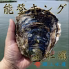 旨味もサイズも超ド級 濃厚岩牡蠣 能登キング 能登七尾湾からお届け ２０個セット