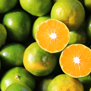 「極早生ミカン」終盤につき！！　30％off!!　訳あり小玉！　5kg