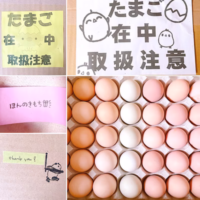 みんなの投稿の画像