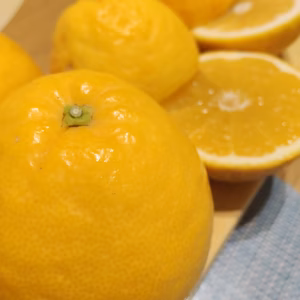 河内晩柑【ご家庭用】2kg（箱込）