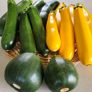 大豊作！ズッキーニをたくさん食べよう！【無農薬無化学肥料】