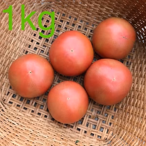 減農薬 桃太郎 トマト 約3.5kg はねだし 訳あり