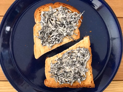 みんなの投稿の画像