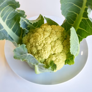 和らぎ農法　グリーンカリフラワー　大