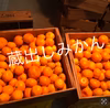 和歌山産　蔵出し　みかん　超小粒　家庭用訳あり