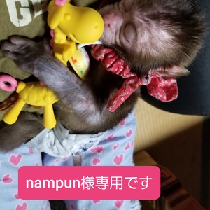 nampun様専用です!