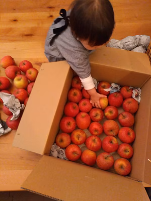 みんなの投稿の画像