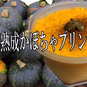 熟成かぼちゃプリン