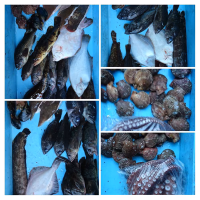 みんなの投稿の画像