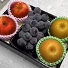 旬をお届け！秋の彩りフルーツ詰め 梨 シャインマスカット りんご ピオーネ　秋田