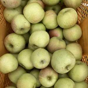 ラスト5箱　加工用　サンふじ　10キロバラ詰　家庭用訳あり