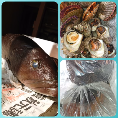 みんなの投稿の画像