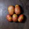 インカのひとみ　自然栽培（無肥料・無農薬・無除草剤）じゃがいも