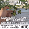 べにほっぺ中粒～小粒をたっぷり1000g【クール便対応】【ワケアリ】